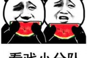 吃瓜表情包是什么意思,揭秘网络社交中的“围观”文化现象