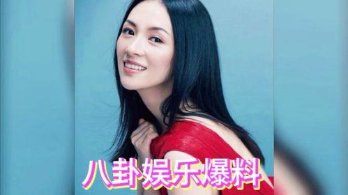 综艺娱乐圈吃瓜爆料小说,揭秘幕后真相，吃瓜群众狂欢盛宴
